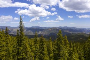 view from Maximum property