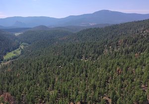 aerial view up valley