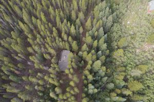 view from straight above