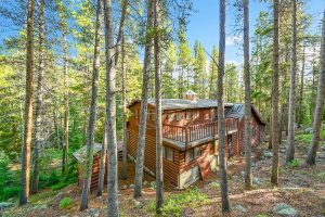 cabin from the back at another angle