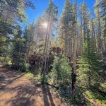 Cabin in the Woods II