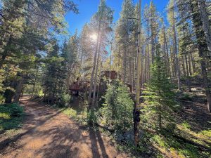 cabin in woods with sun glint