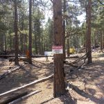 Protected By Bigfoot