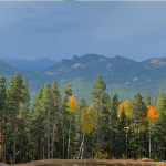 Aspens and Mountain Views