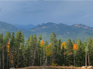 views over aspens