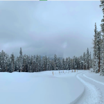 Winter Scene