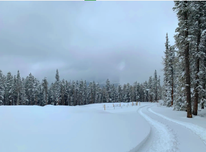 winter scene