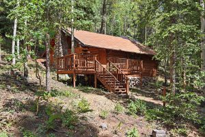 cabin in the woods angled