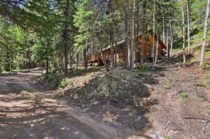 cabin in the woods