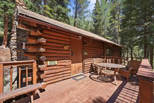 close up of front of cabin