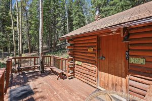 cabin front door