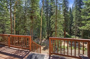 looking off the deck to forest