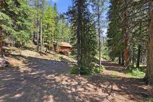 cabin from parking area