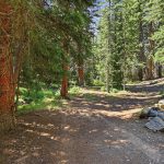 Parking – 907 Hefferman Gulch Road, Idaho Springs, CO 80452