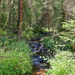 11_v1s_0652