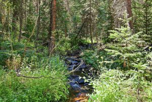 creek