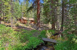 cabin in the woods