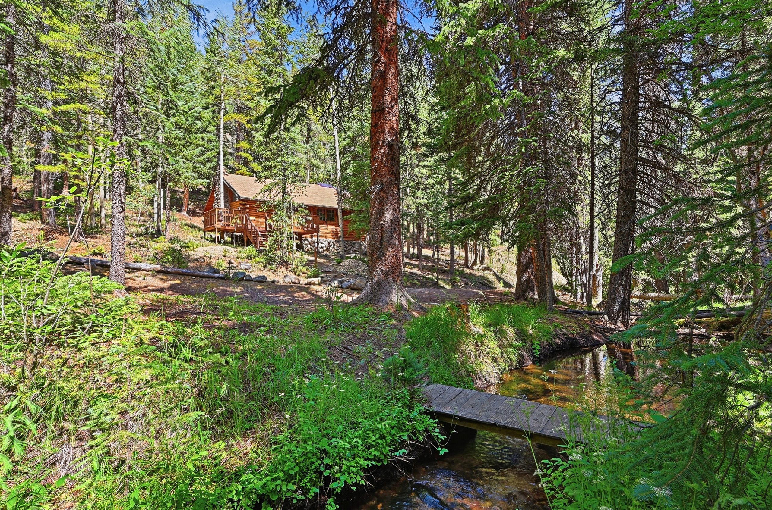 cabin in the woods