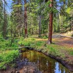 13_v1s_0662
