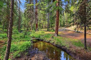 creek along road