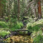 Creek – 907 Hefferman Gulch Road, Idaho Springs, CO 80452