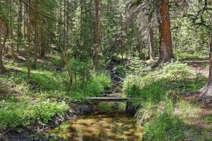 creek and bridge