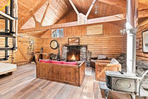 wood burning stove and fireplace